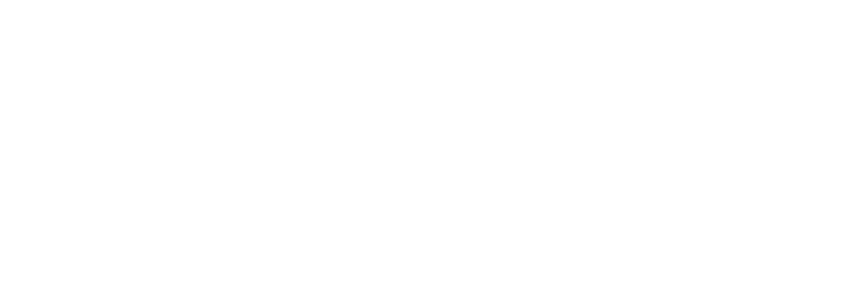 Insert